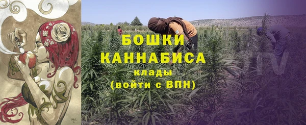 бутират Снежногорск