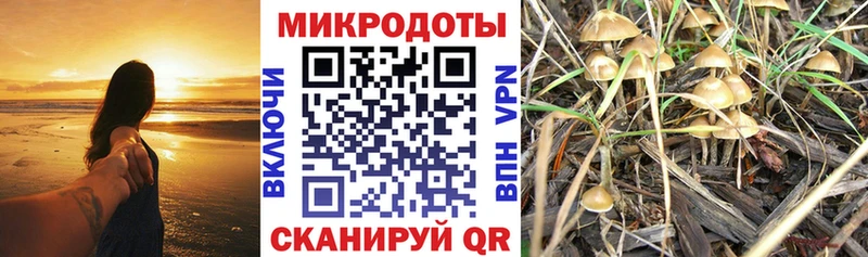 mega ONION  дарнет шоп  Остров  Галлюциногенные грибы GOLDEN TEACHER 